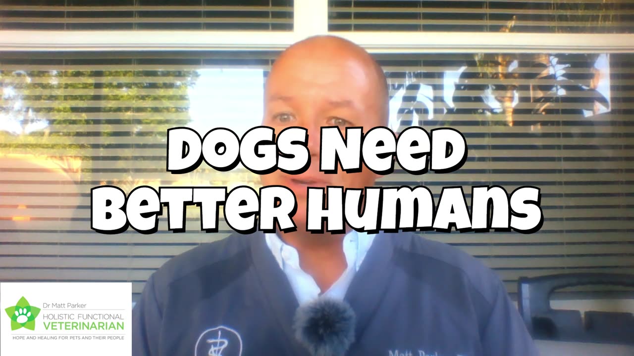 Dogs Need Better Humans