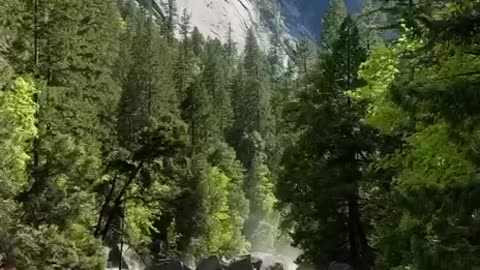 🍀Spring in Yosemite National Park