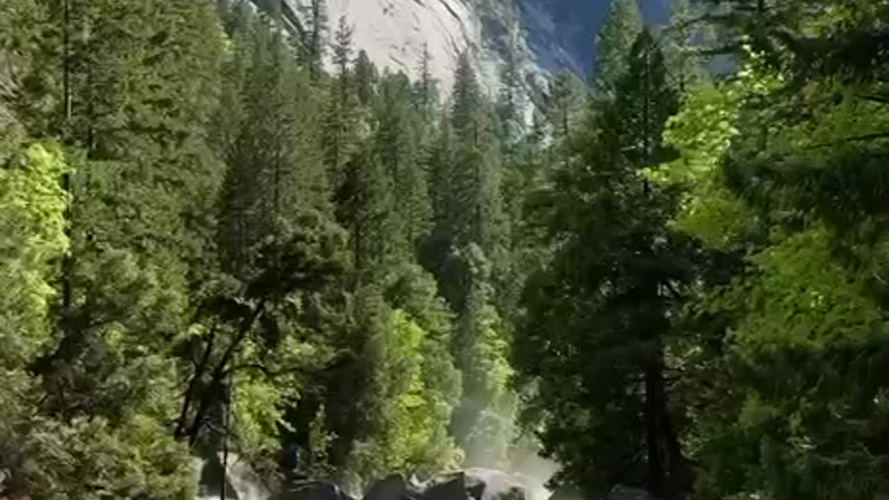 🍀Spring in Yosemite National Park