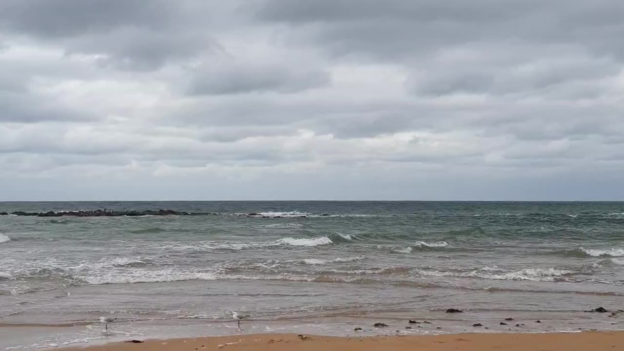 Signt & Sound of Nature, Country Beach - Rural Australia