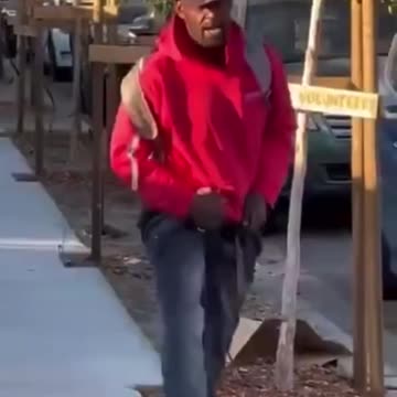 Black destroys newly planted trees