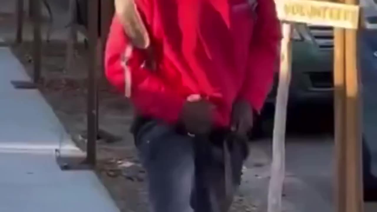 Black destroys newly planted trees