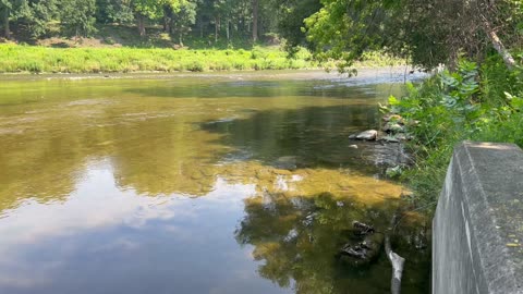 Humber River low flow on a hazy Smokey day