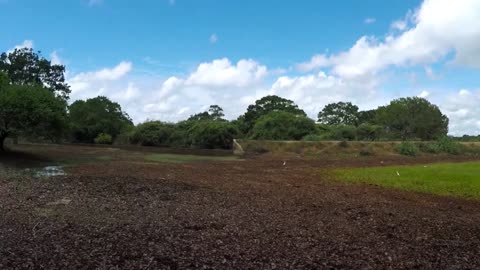 Ondaatje Bungalow, Yala Wildlife Park ,Sri Lanka