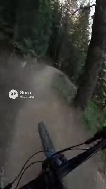 Biker Trail Fail