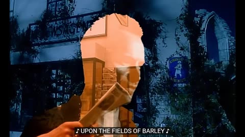 Sting - Fields Of Gold