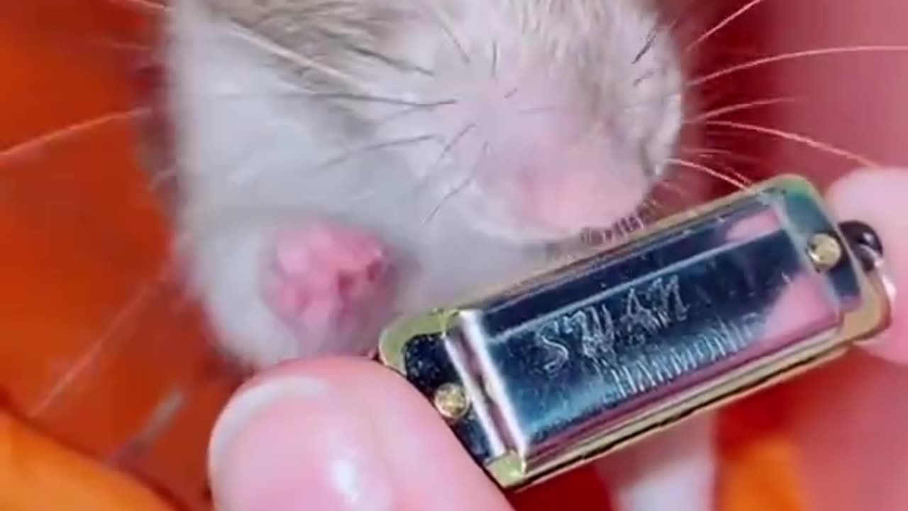 Who can relate? ❤️