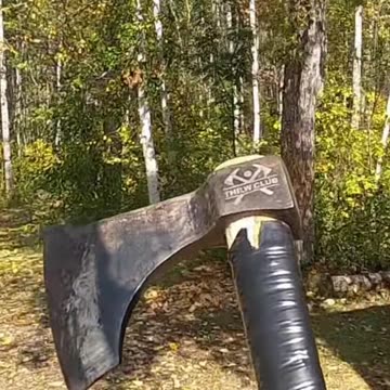 Cat vs. Laundry_ Daily Home Battles!#livingoffgrid #cats