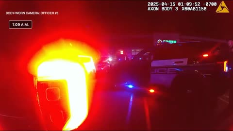 Hispanic Women in Gardena California Pulls BB Gun on Police After High Speed Chase