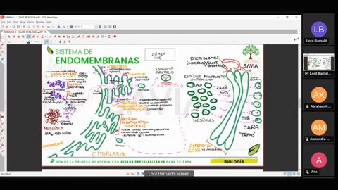 SAVIA SEMIANUAL 2024 | Semana 05 | Biología S2