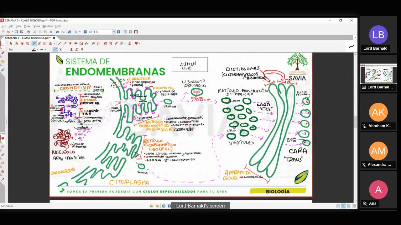 SAVIA SEMIANUAL 2024 | Semana 05 | Biología S2