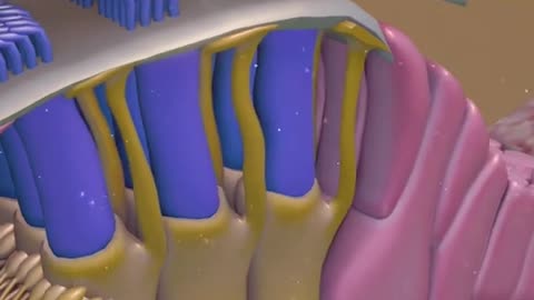 How Earbuds Damage Your Ears