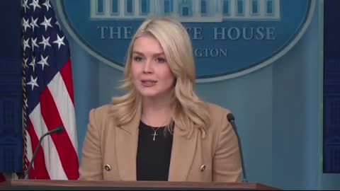 Leavitt Goes Nuclear: Dem Leaders Are Begging for Trump to Invoke the Insurrection Act