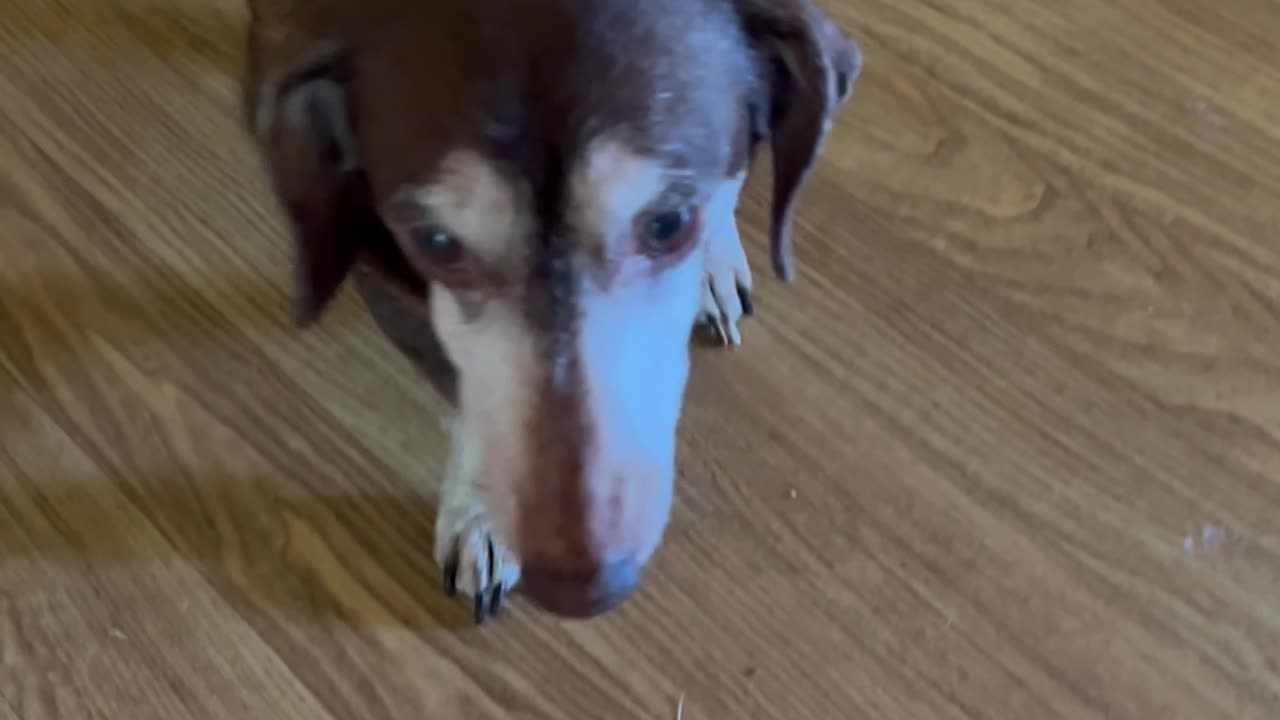 My Poor Baby