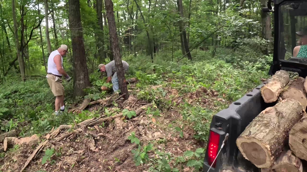 Gathering Fire Wood