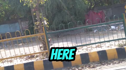 Stay vigilant and demand action! #Viral #Trending