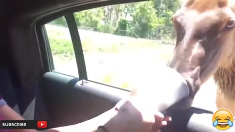 Fanny viral Video