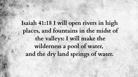 Martus Ministry -472- Wilderness sprig