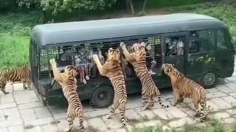 wonders of the world