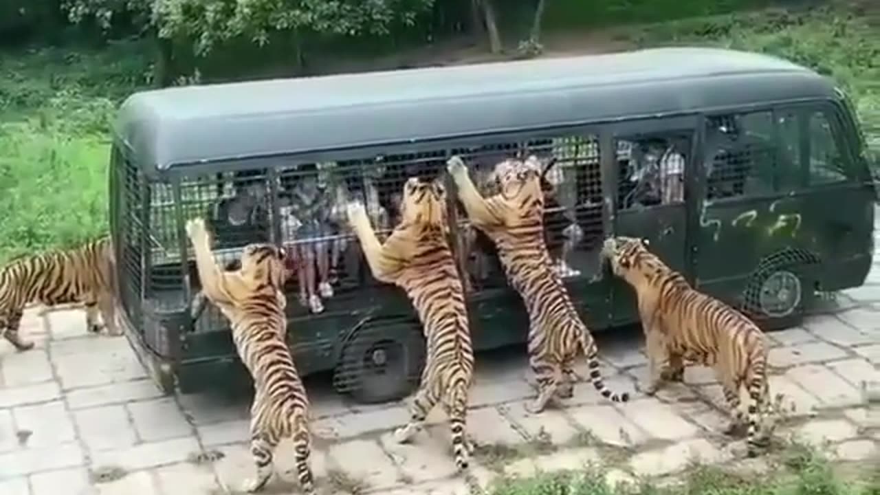 wonders of the world