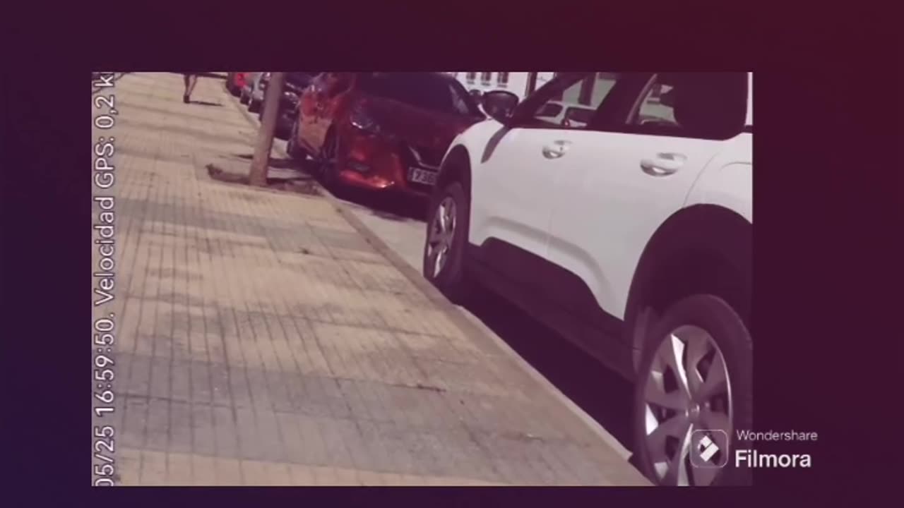 Perros a los que no les gusta el brócoli