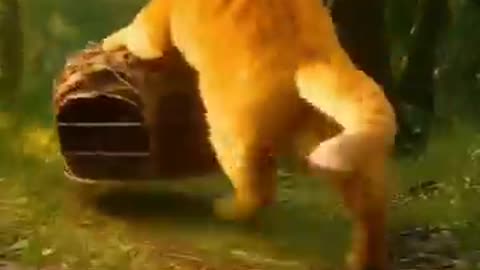 AI animated cat