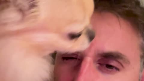 Anyone got a licker?