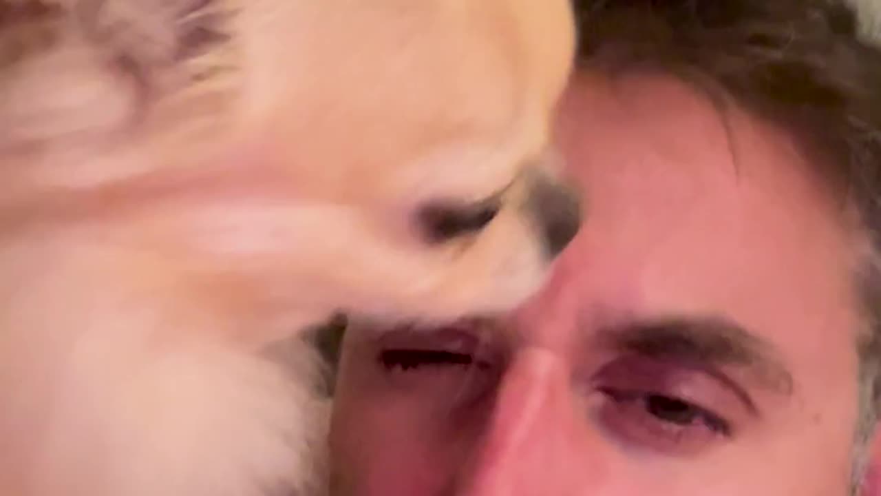 Anyone got a licker?