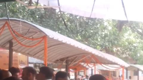 Jai maa Mansa devi