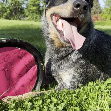 Yuma catches his breath 29842309842098