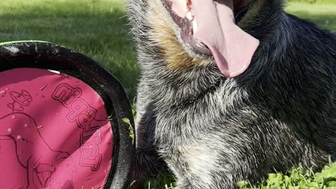 Yuma catches his breath 29842309842098