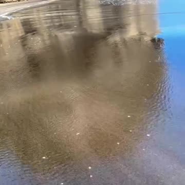 Top Trending Viral Clips