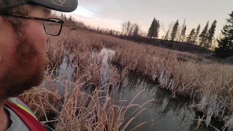 October 24, 2025 Part 2 (First Check in Paradise)