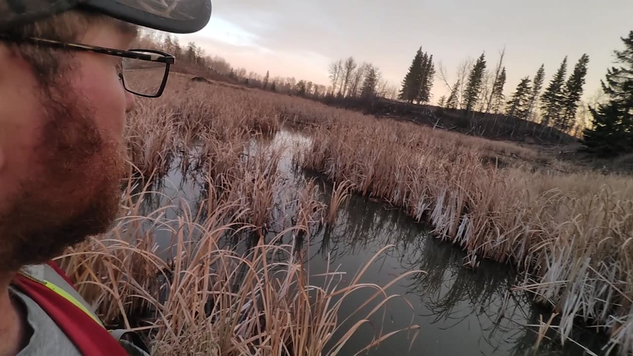 October 24, 2025 Part 2 (First Check in Paradise)