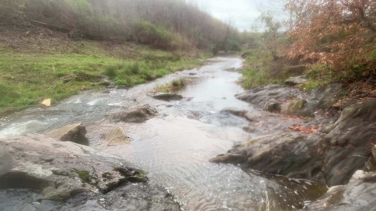 A beautiful creek
