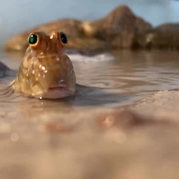 Quick on the draw 😂