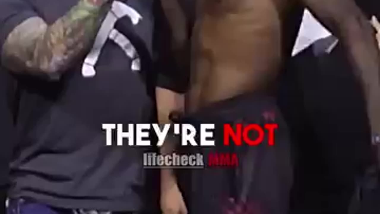Mma ufc