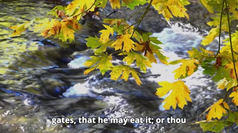 Deuteronomy Chapter 14