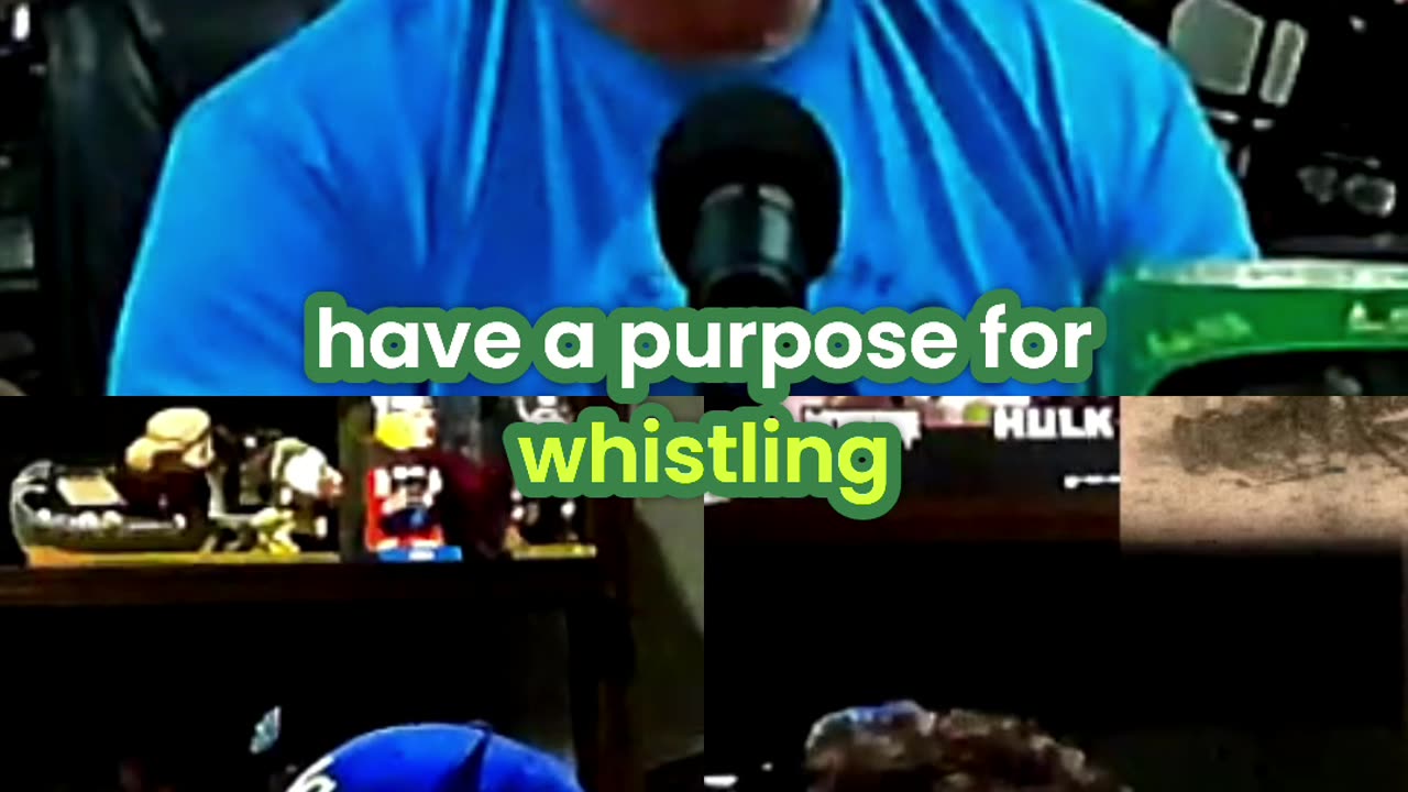 Have you ever heard a ghost whistle?
