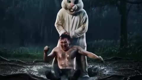 The rabbit hole