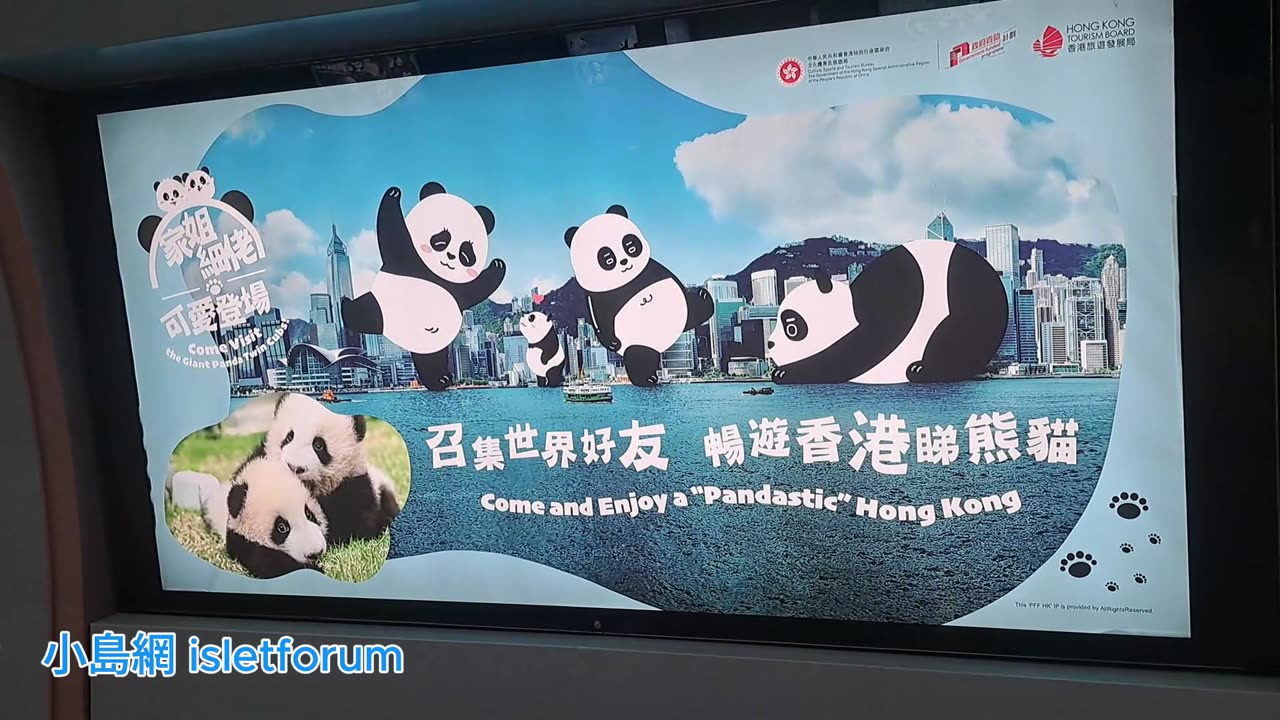 家姐細佬可愛登場 金鐘站熊貓管道 pandastic hong kong admiralty