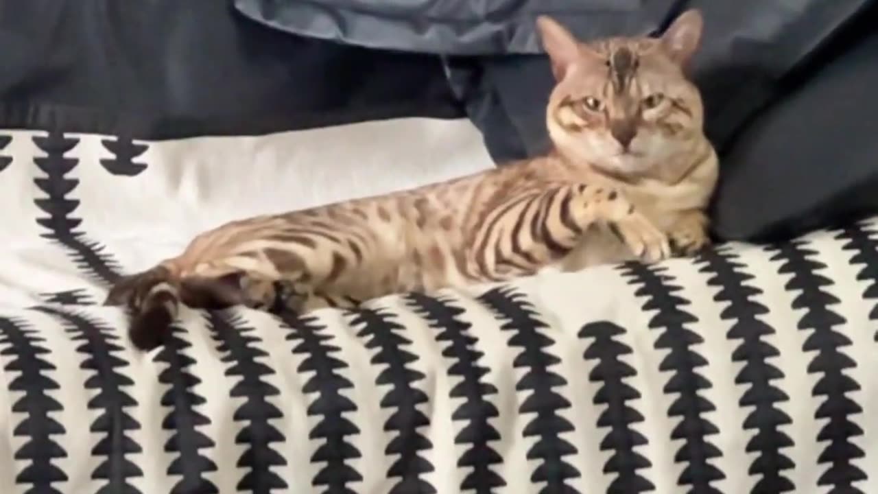 🤣💥 He Doesn't Need Enemies – Watch This Epic Fail! | FunFM