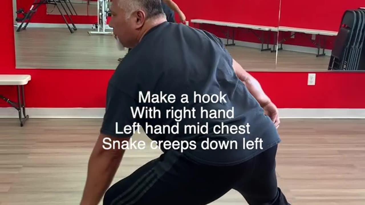 8 form Tai Chi Master Mark