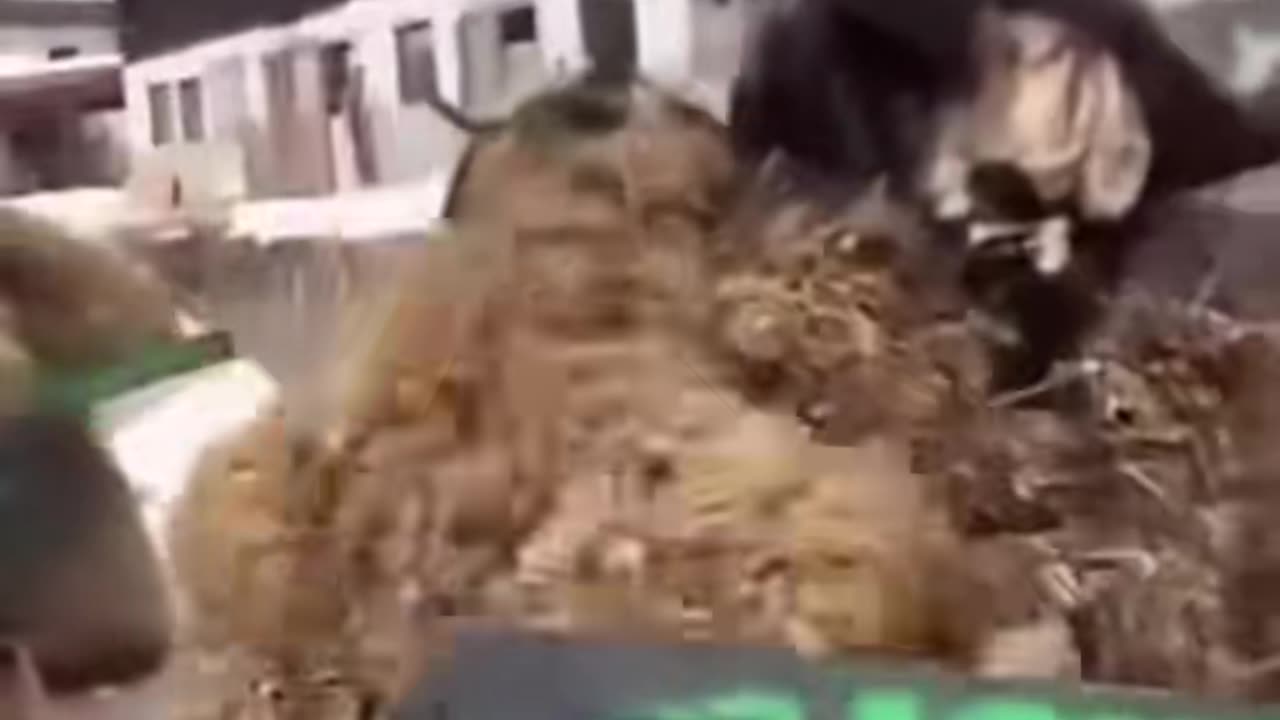 吃屎喝尿的撒旦恶魔堕落天使路西法，我弥赛亚要把你们踩成肉酱，彻底把你们消灭在地球上!