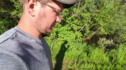 July 2-7, 2025 - Mid-summer beavers