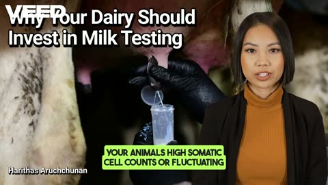 Unlock Dairy Success:Invest in Milk Testing