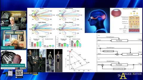 Optical nervous system and RNM tactics