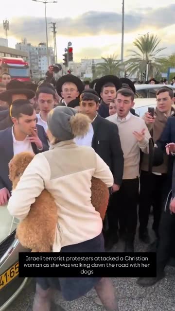 isrealhellis attack a Christian woman and her two dogs