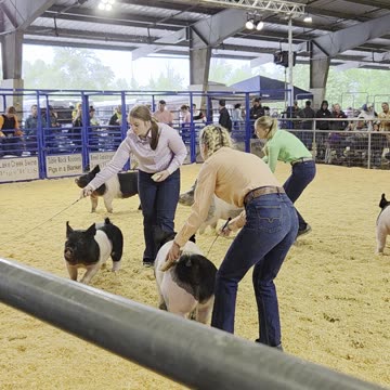 Southern Oregon Livestock Jackpot