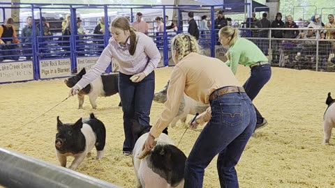 Southern Oregon Livestock Jackpot